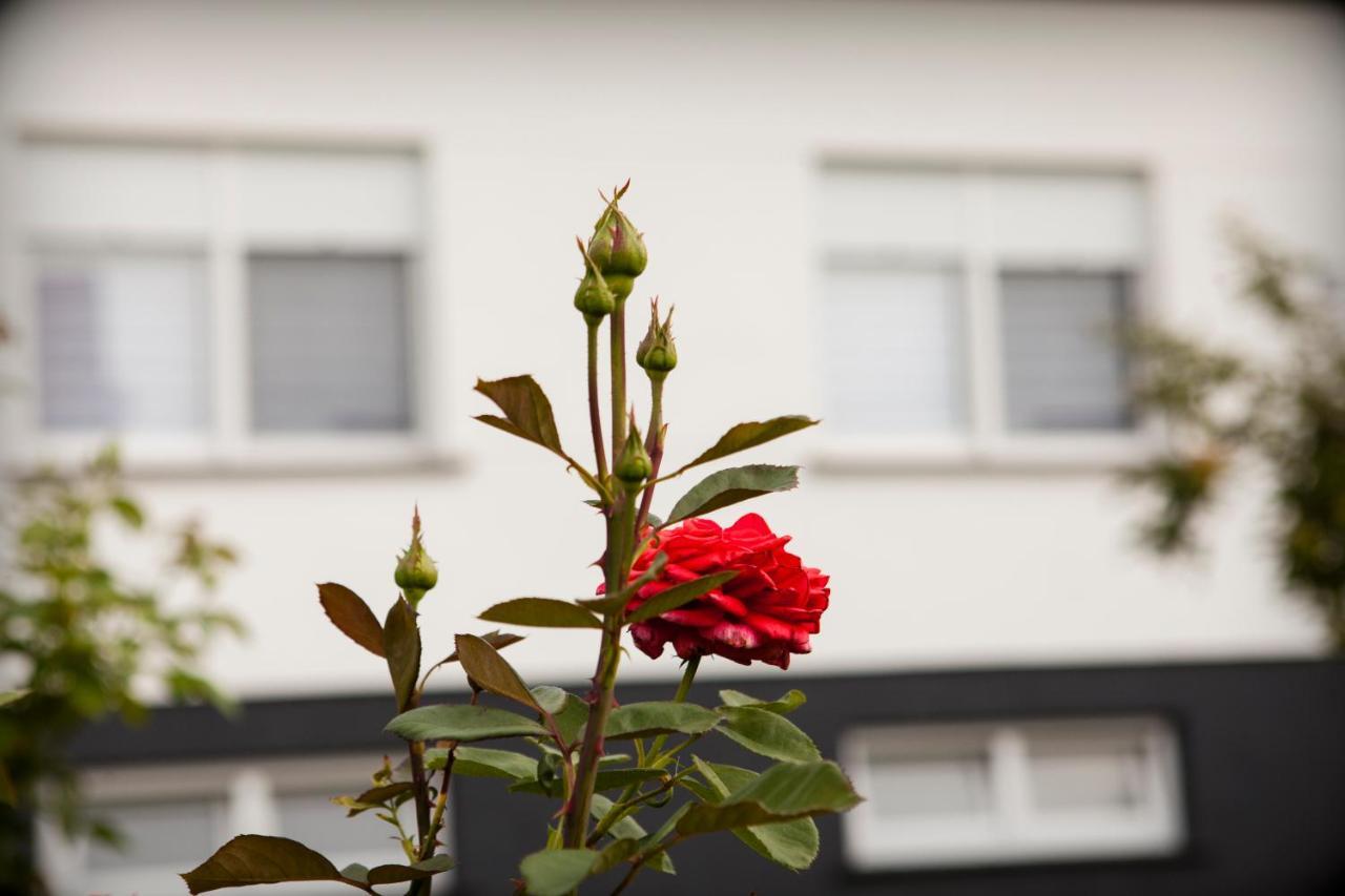 Apartman Kuca 150 Mala Subotica エクステリア 写真